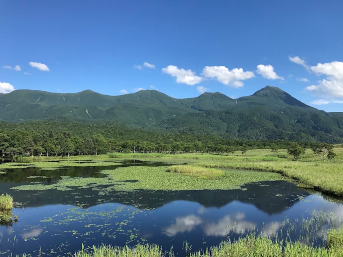 知床五湖(6)/晴れた日の一湖と知床連山