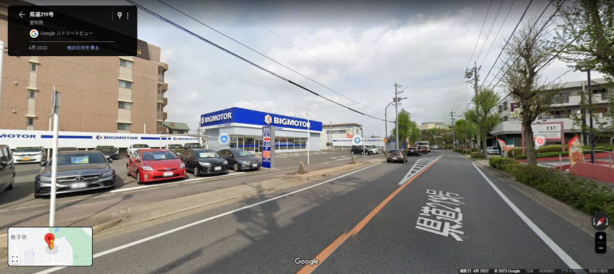 ビッグモーター店舗前の街路樹の様子