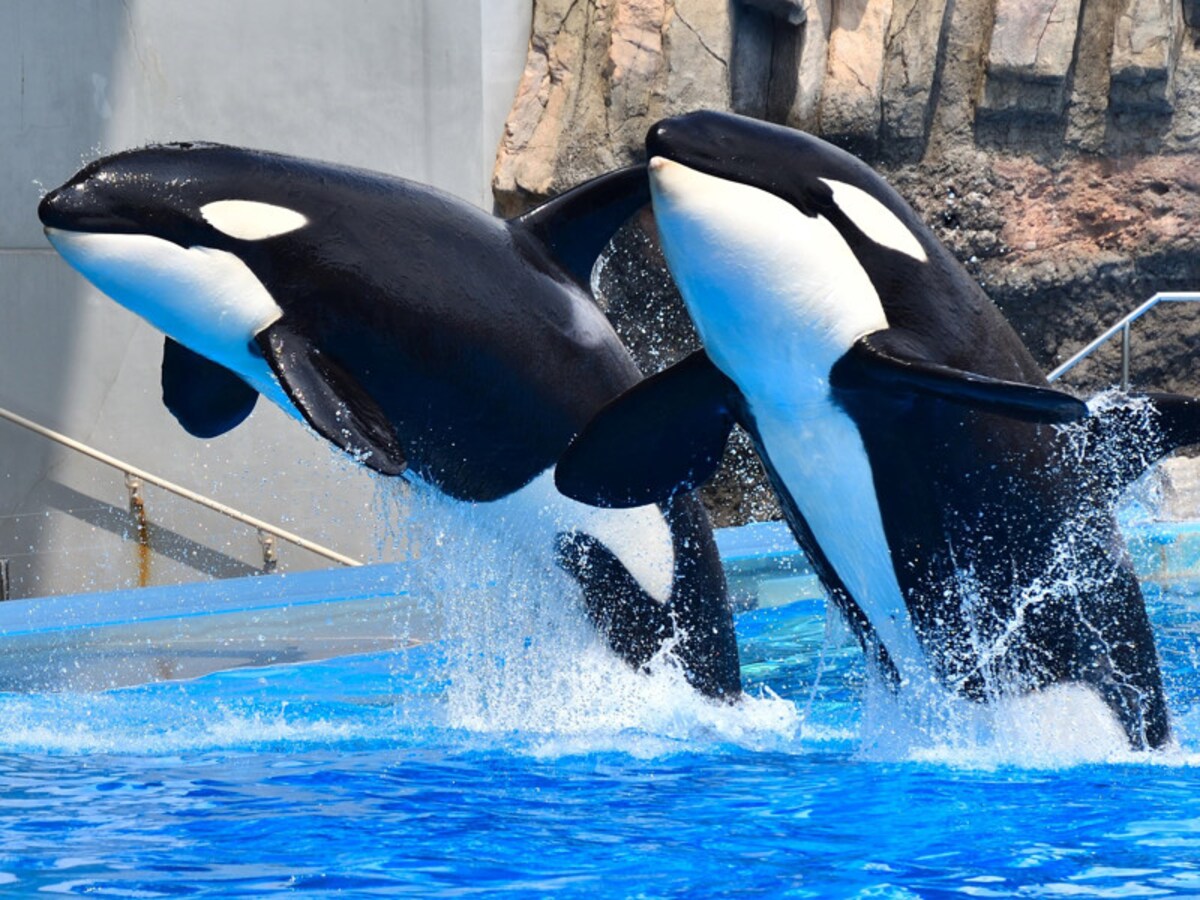 名古屋港水族館