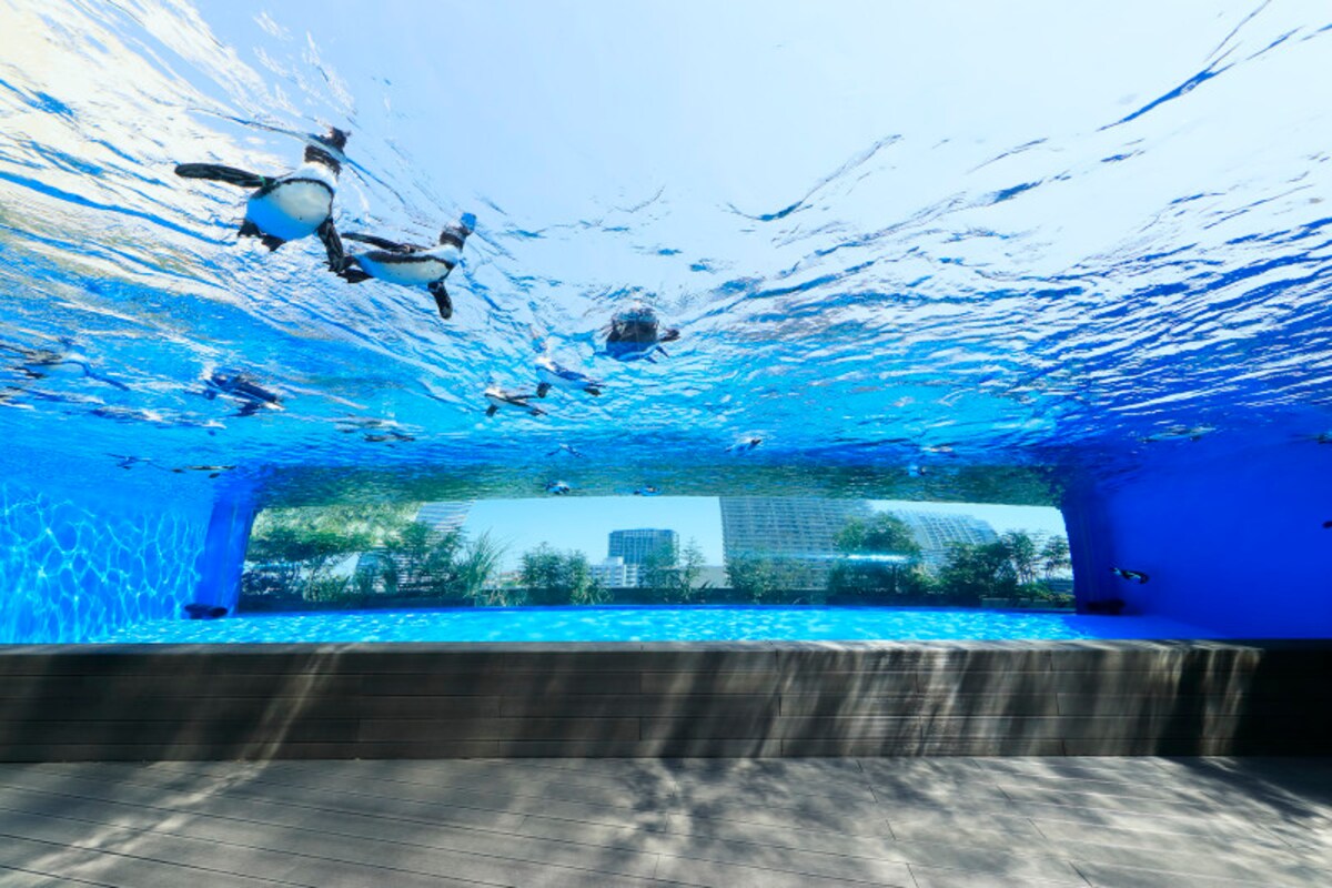 サンシャイン水族館