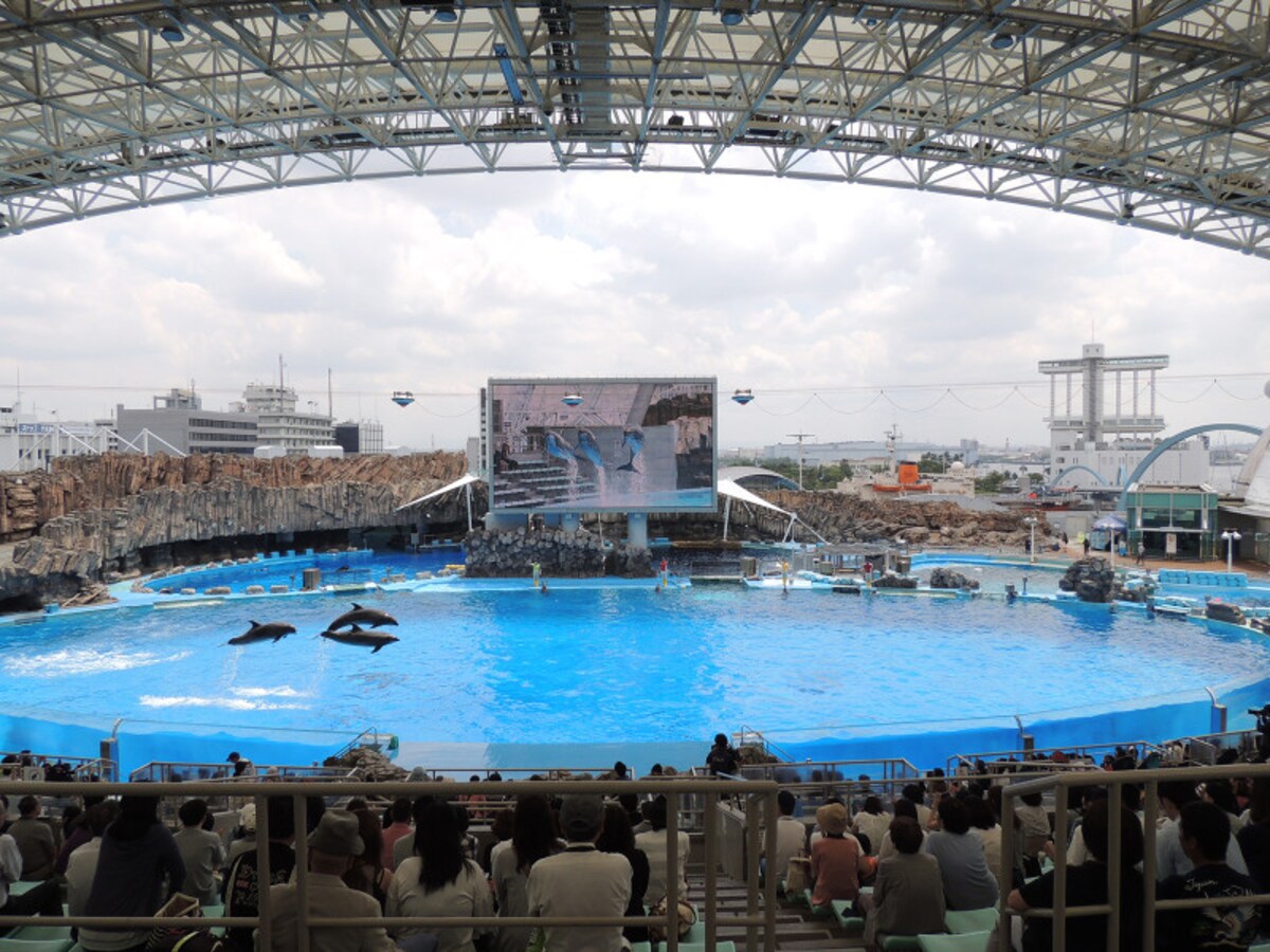 名古屋港水族館