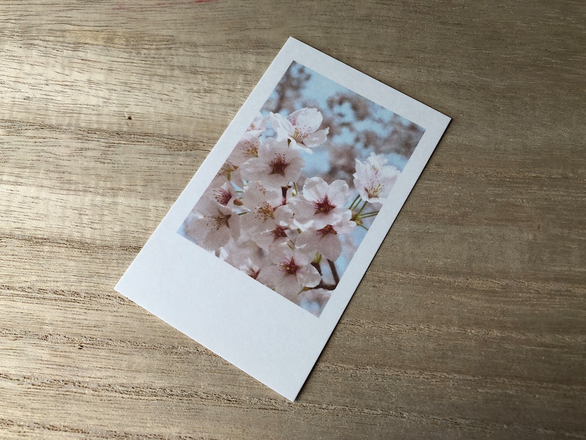 セリアの「桜巡り ミニカード」