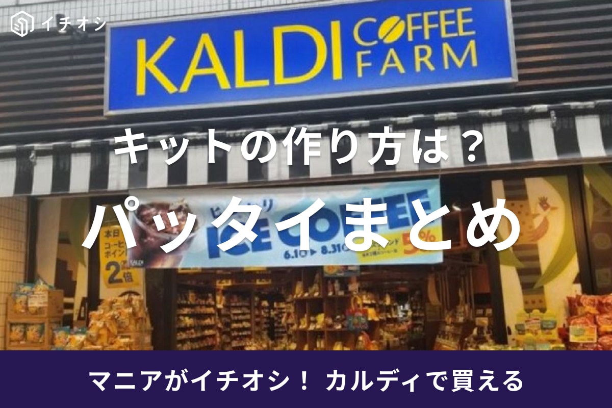 カルディ販売のパッタイはキットで手軽！