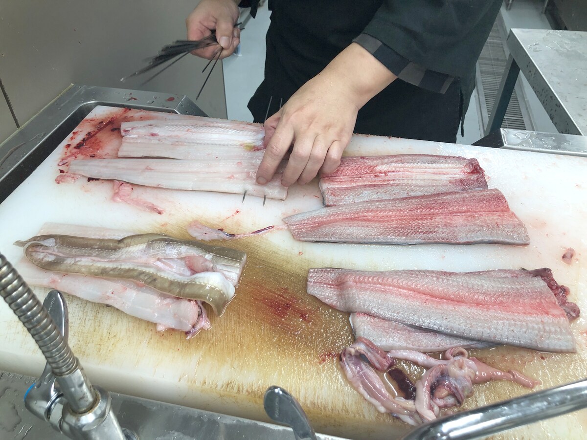 【食べ比べ実験】蒲焼にした「うなぎ」と「穴子」、味に違いはあるか？