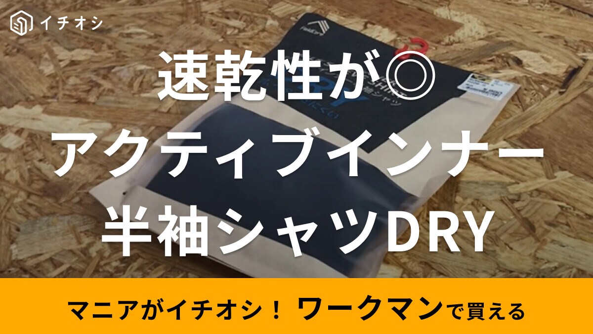 【ワークマン】残暑続く秋にも活躍！「アクティブインナー半袖シャツDRY」は速乾で汗をかいても爽やか