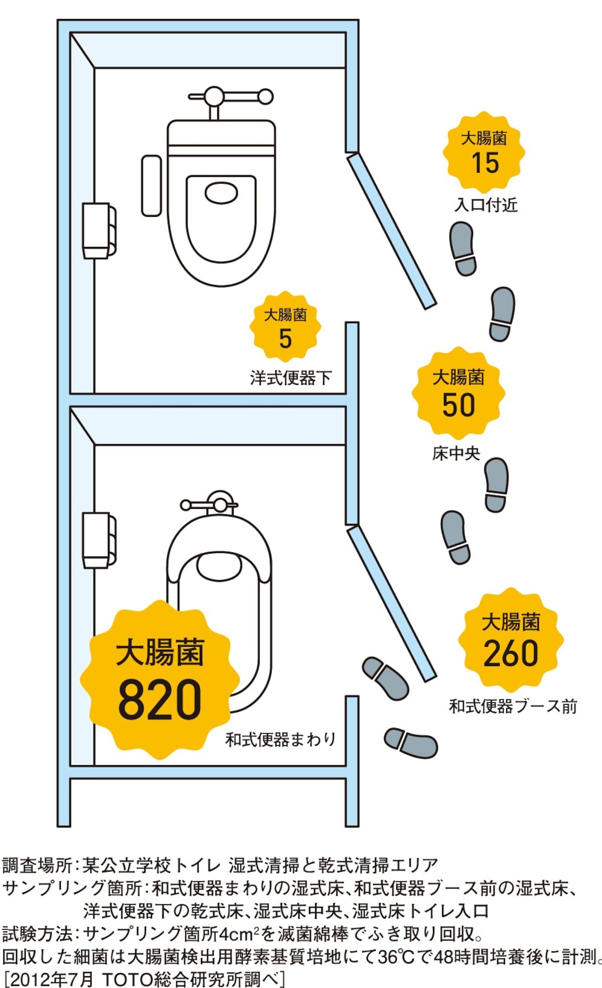 大腸菌の比較