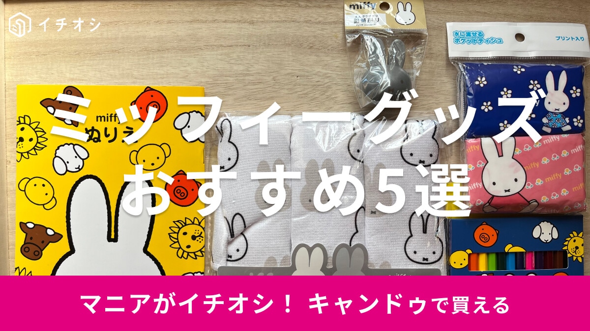 100均キャンドゥのミッフィーグッズおすすめ5選！新作は？子供◎【2023年版】