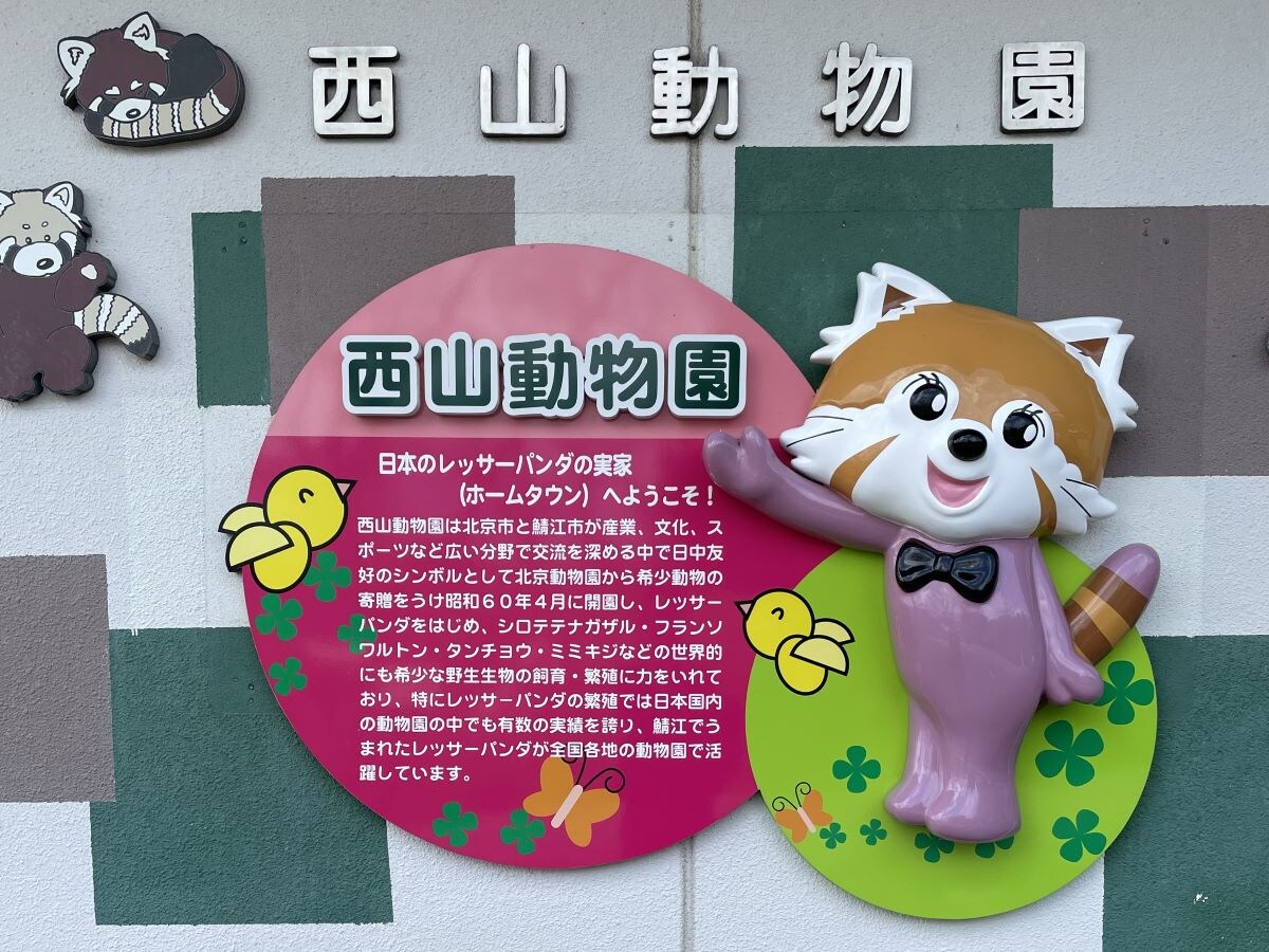 レッサーパンダのホームタウンへようこそ！