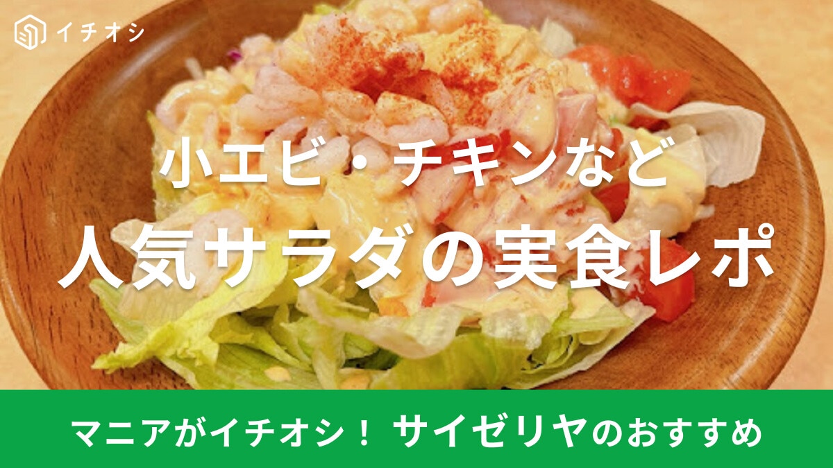 サイゼリヤのサラダはヘルシーでおすすめ！小エビ・チキンなど人気のサラダを実食レポ