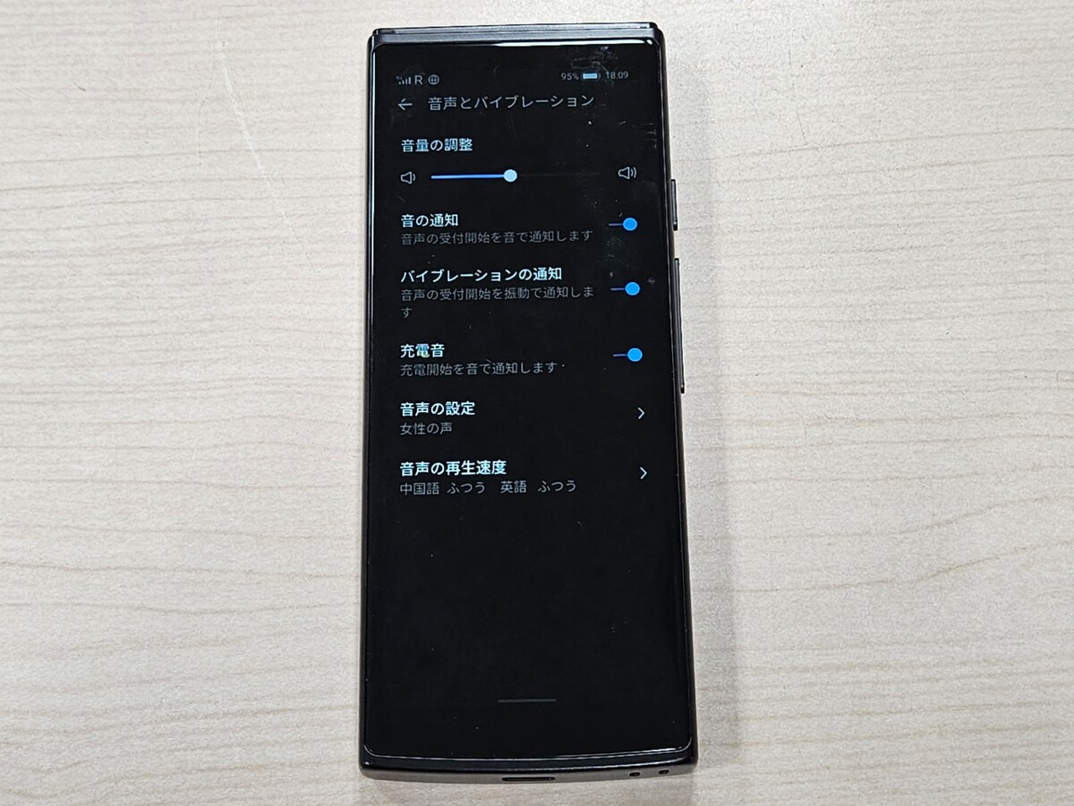 音声設定画面