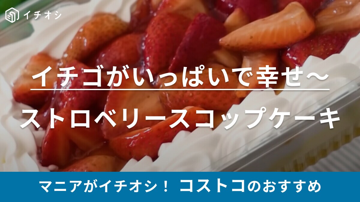 「独り占めしたいおいしさ！」【コストコ】8人分はある巨大スコップケーキにマニアも「コスパ抜群」と大絶賛！