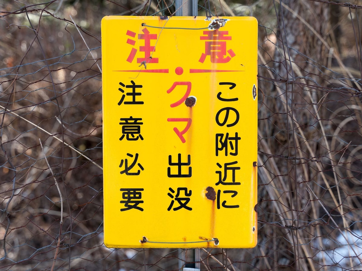 相次ぐクマ被害。冬眠期間中の冬季も油断できない