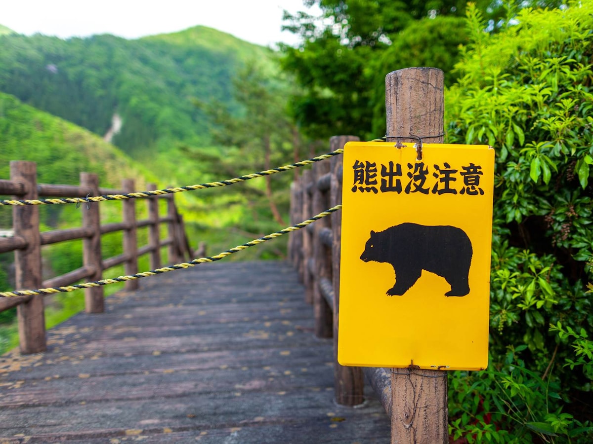 登山というほどでもないハイキングコースにもクマは出没する