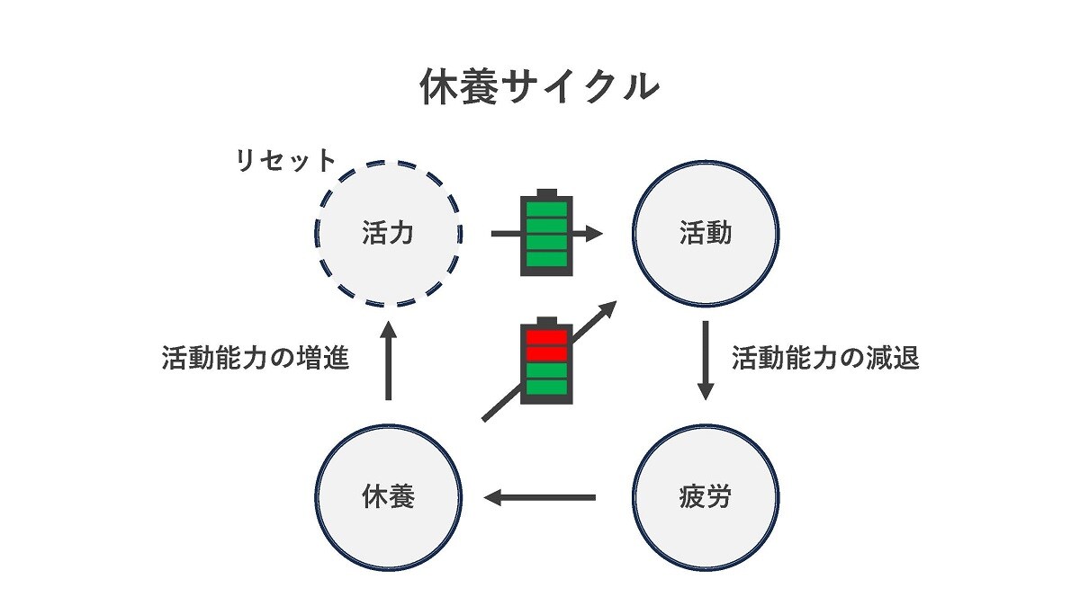 しっかりリセットして活力を充電する休養サイクルが大事