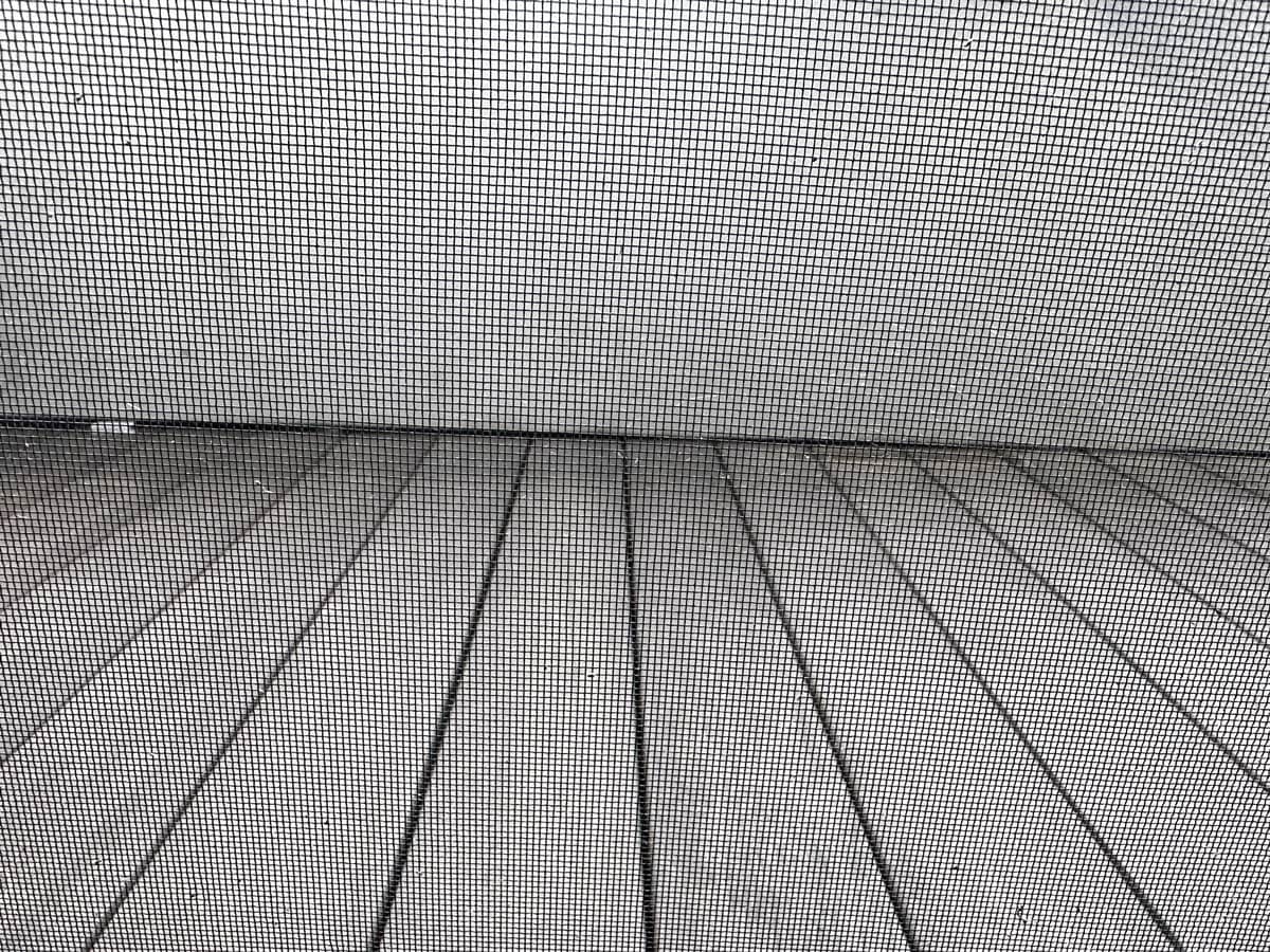 掃除できた網戸