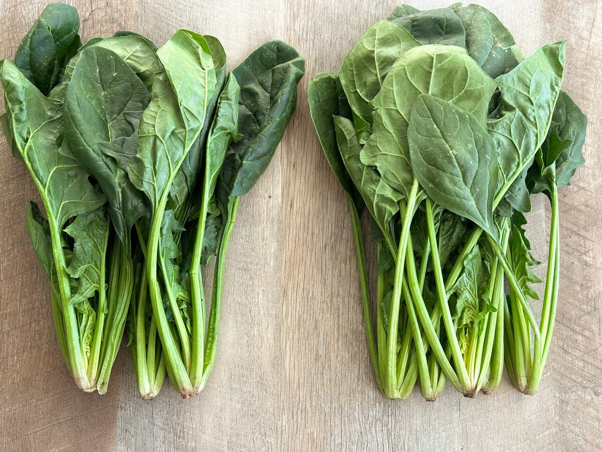 購入したばかりのほうれん草２束