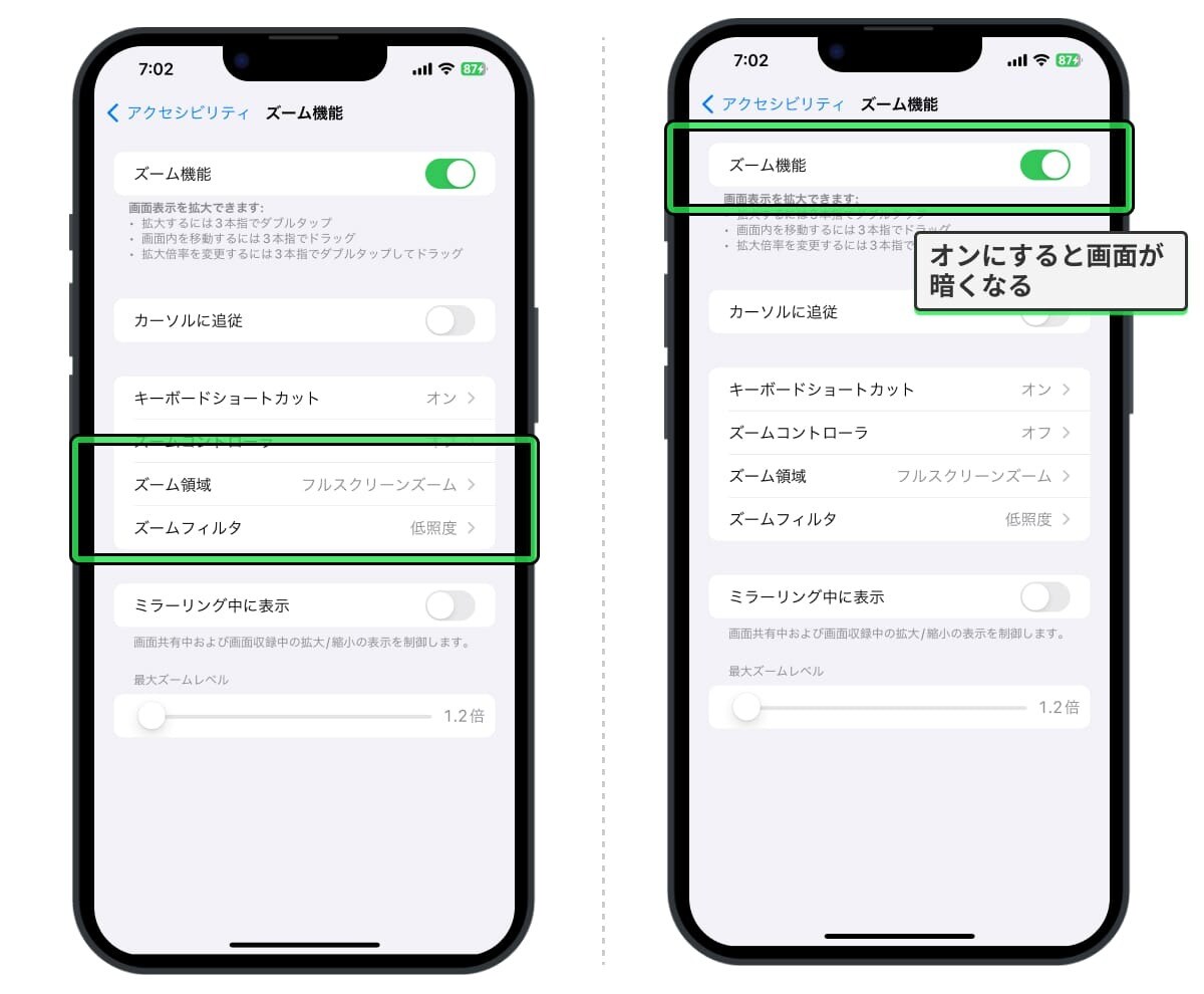 各種設定をして「ズーム」をオンにする