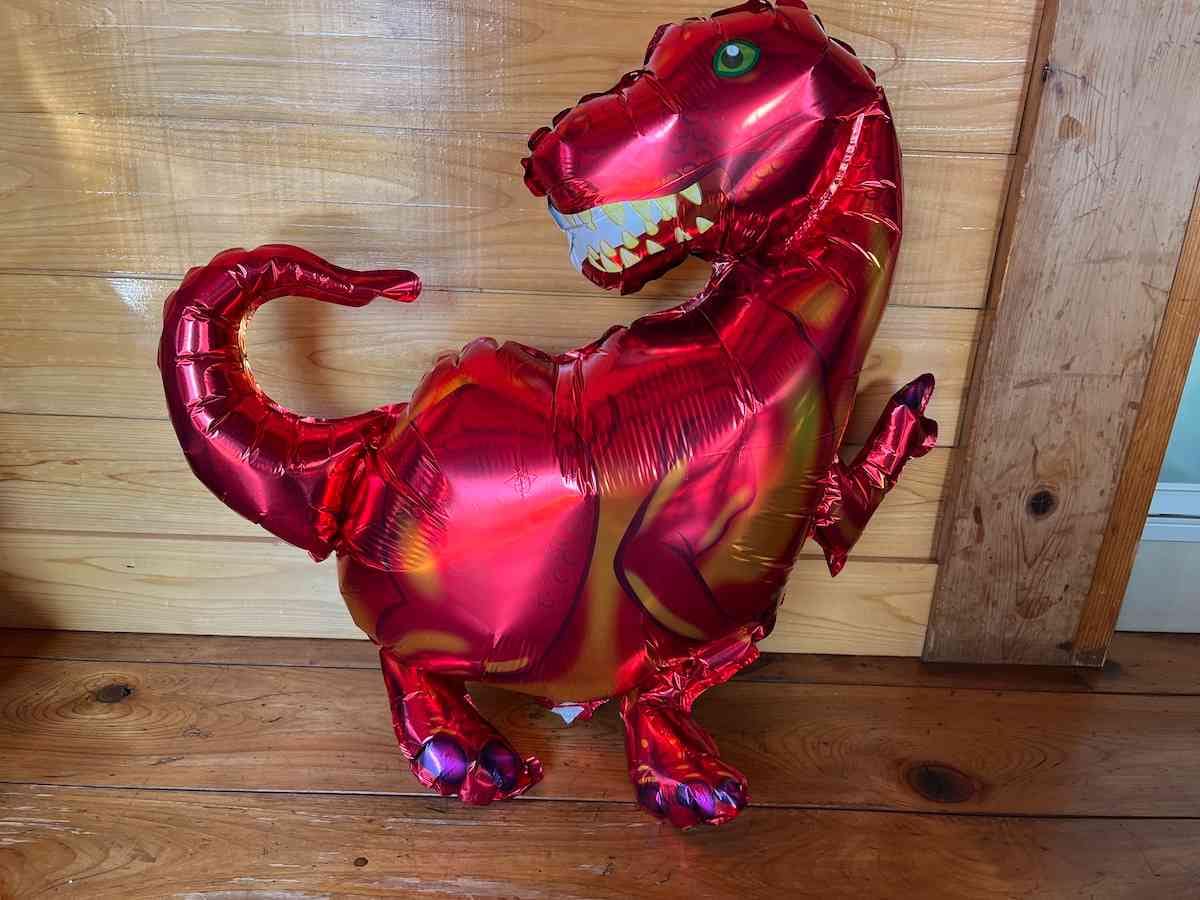 膨らませたセリアの「恐竜バルーン ティラノサウルス」