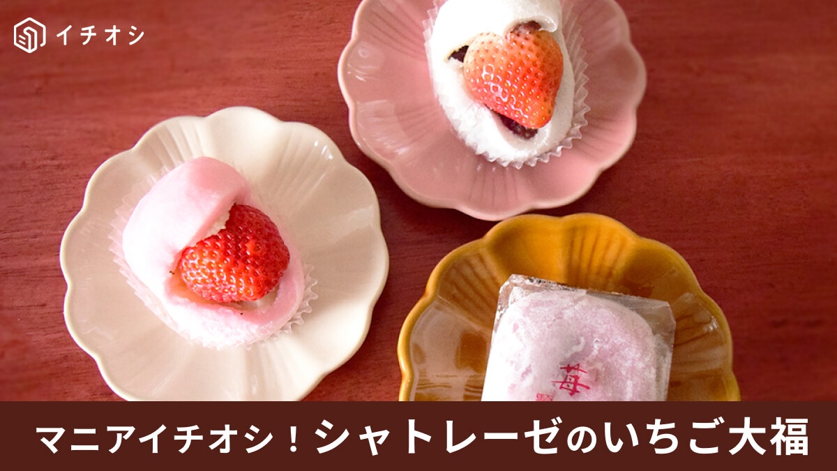 シャトレーゼの「いちご大福」2024年最新版！3種類食べ比べ実食レビュー