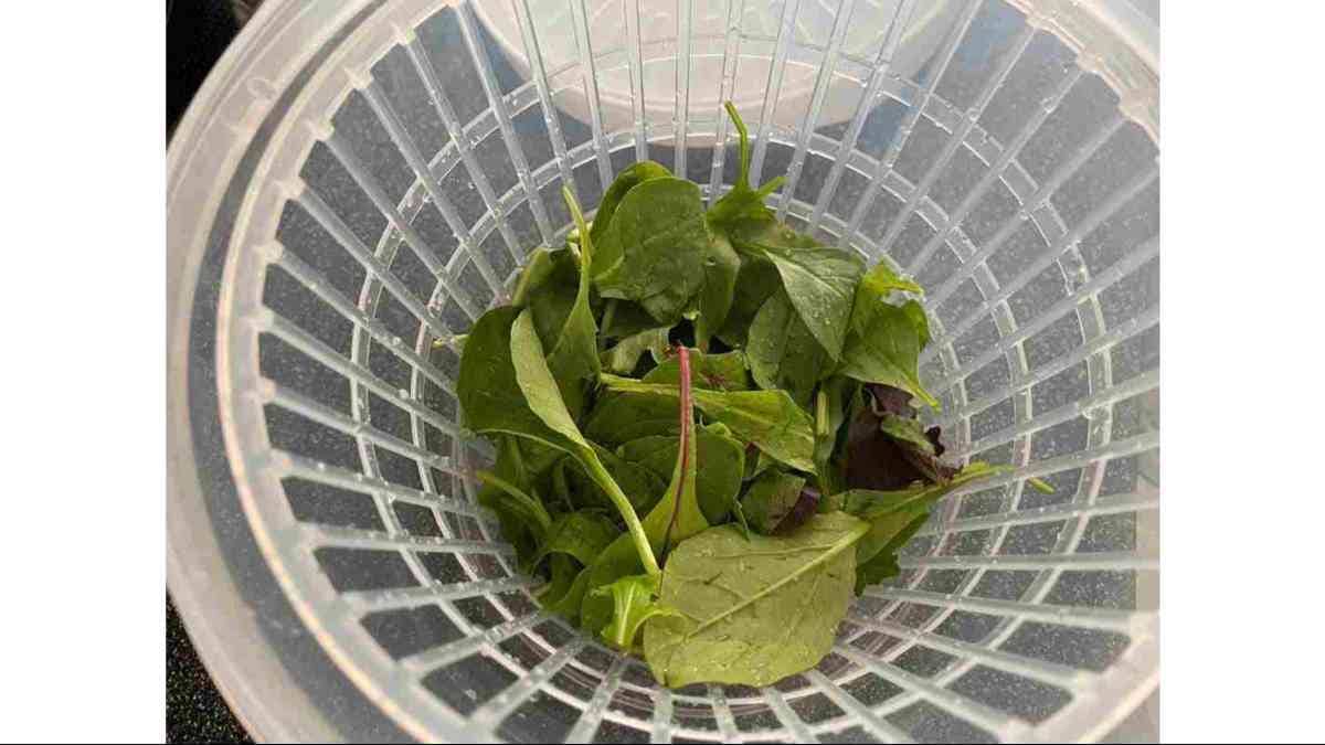 ダイソーの「野菜の水切り」があればキッチンペーパーの節約に