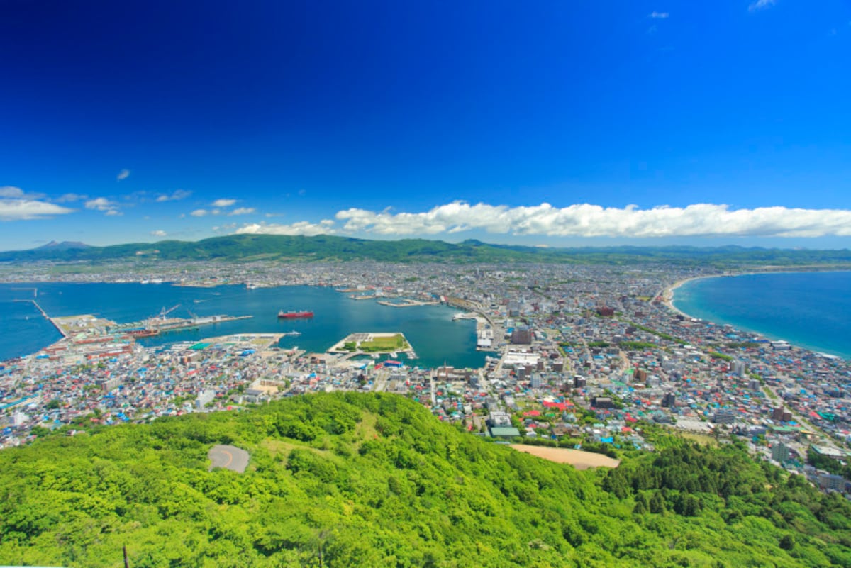 函館山から望む函館市街