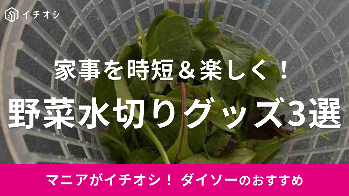 【ダイソー】キッチンペーパーを節約できる「野菜の水切り」グッズ3選！サラダスピナーが評判◎