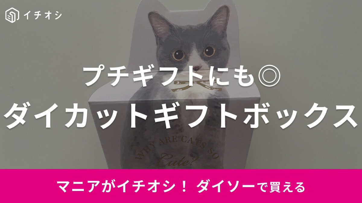 ダイソーの「ダイカットギフトボックス」は猫のデザインがかわいい！バレンタインに◎