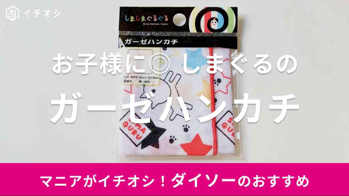 ダイソー　しまぐる