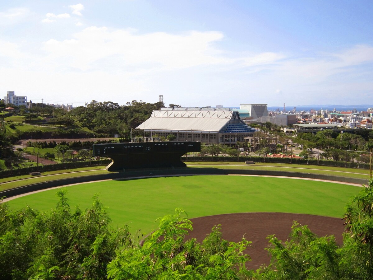 沖縄各地の球場などでプロ野球キャンプが見学できる （C）OCVB