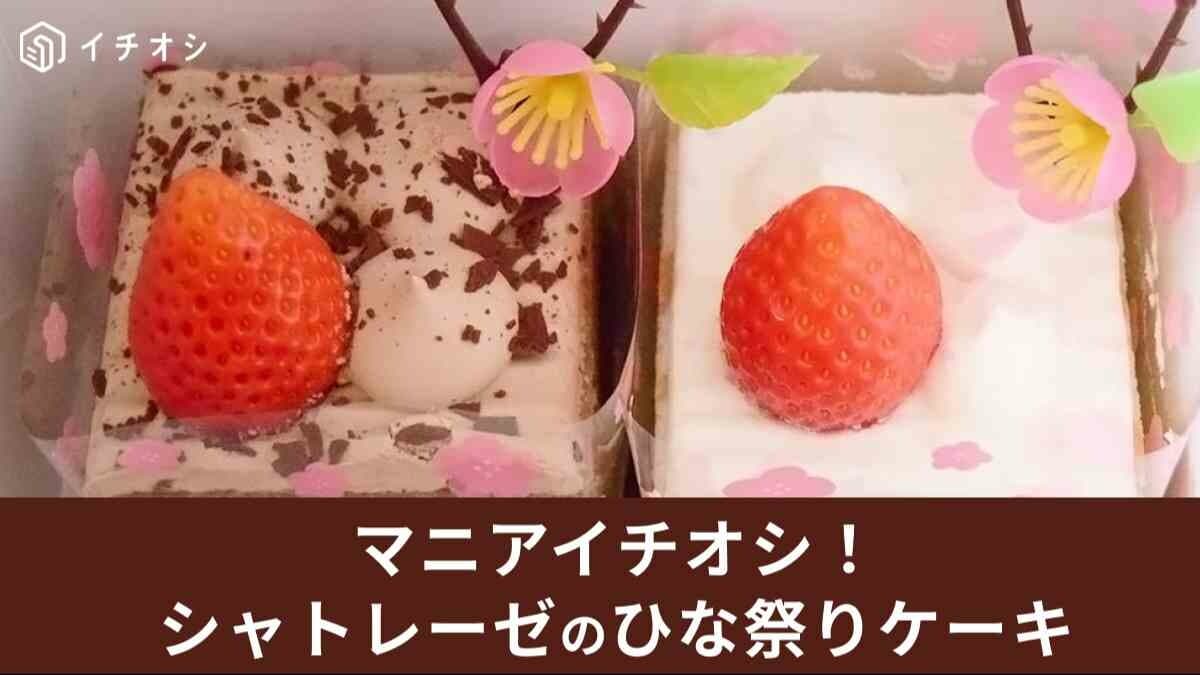 シャトレーゼの「ひな祭りケーキ」2024年はいつまで販売？当日予約なしで買える？