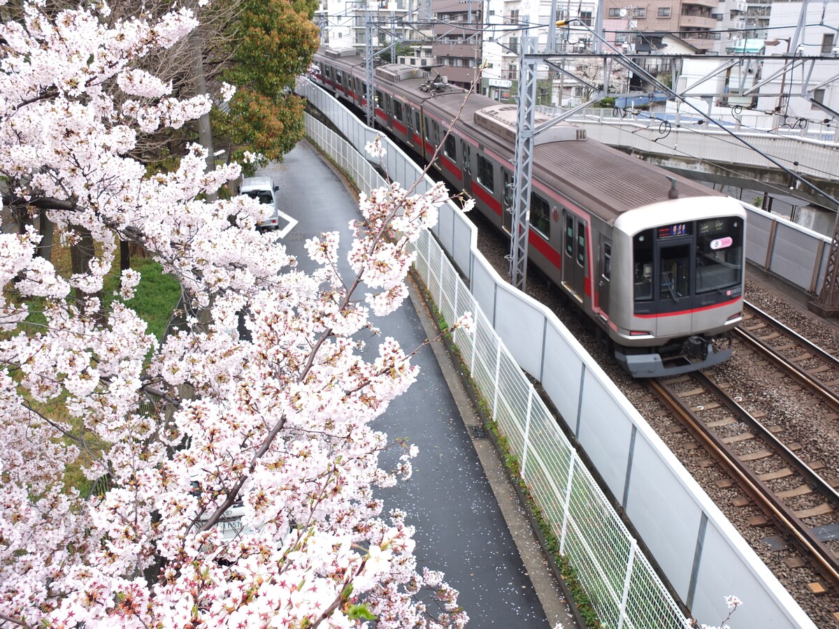 運賃が割安なイメージのある東急東横線