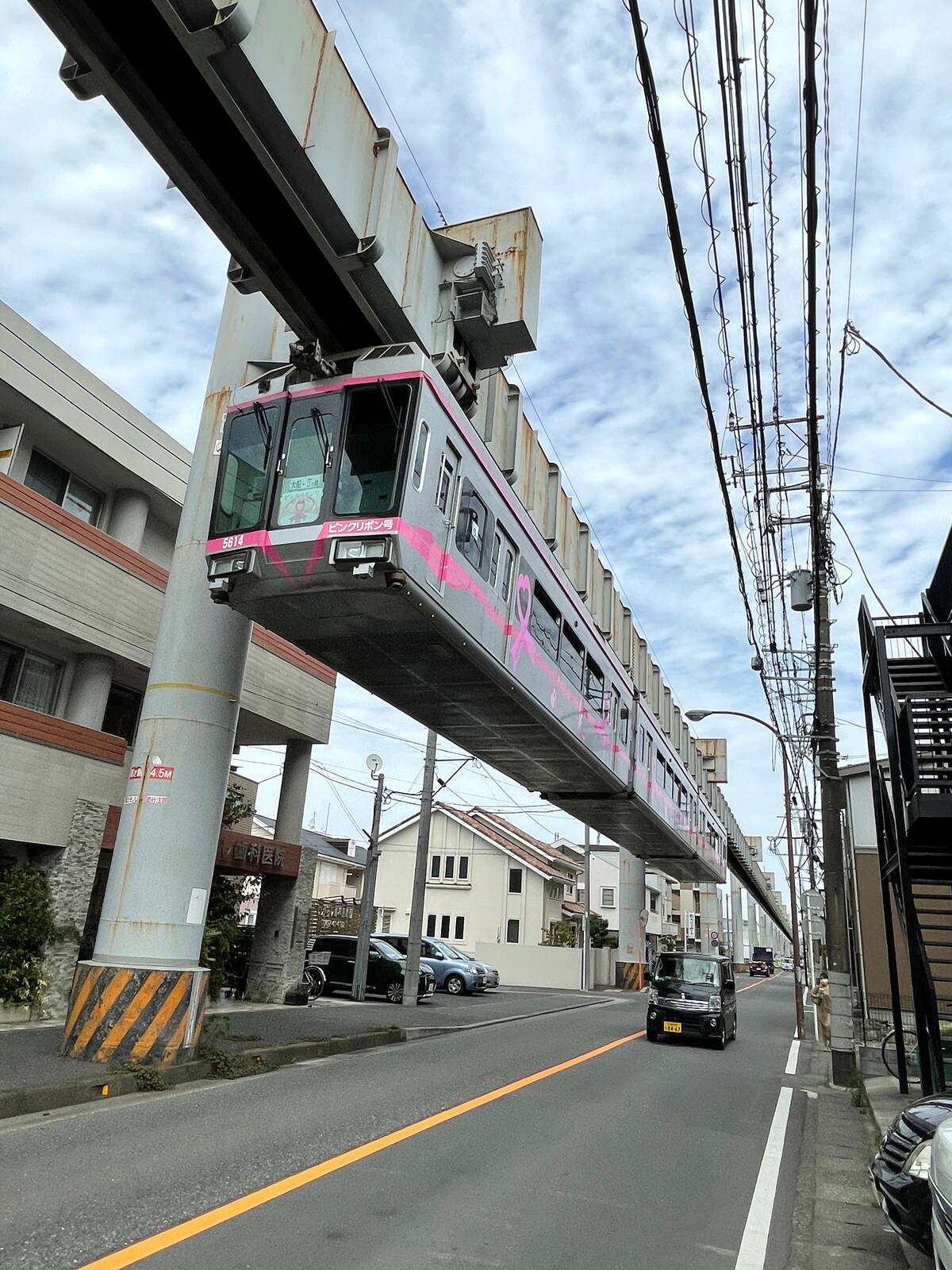 道路を走る車の上を行く、湘南モノレールの車両
