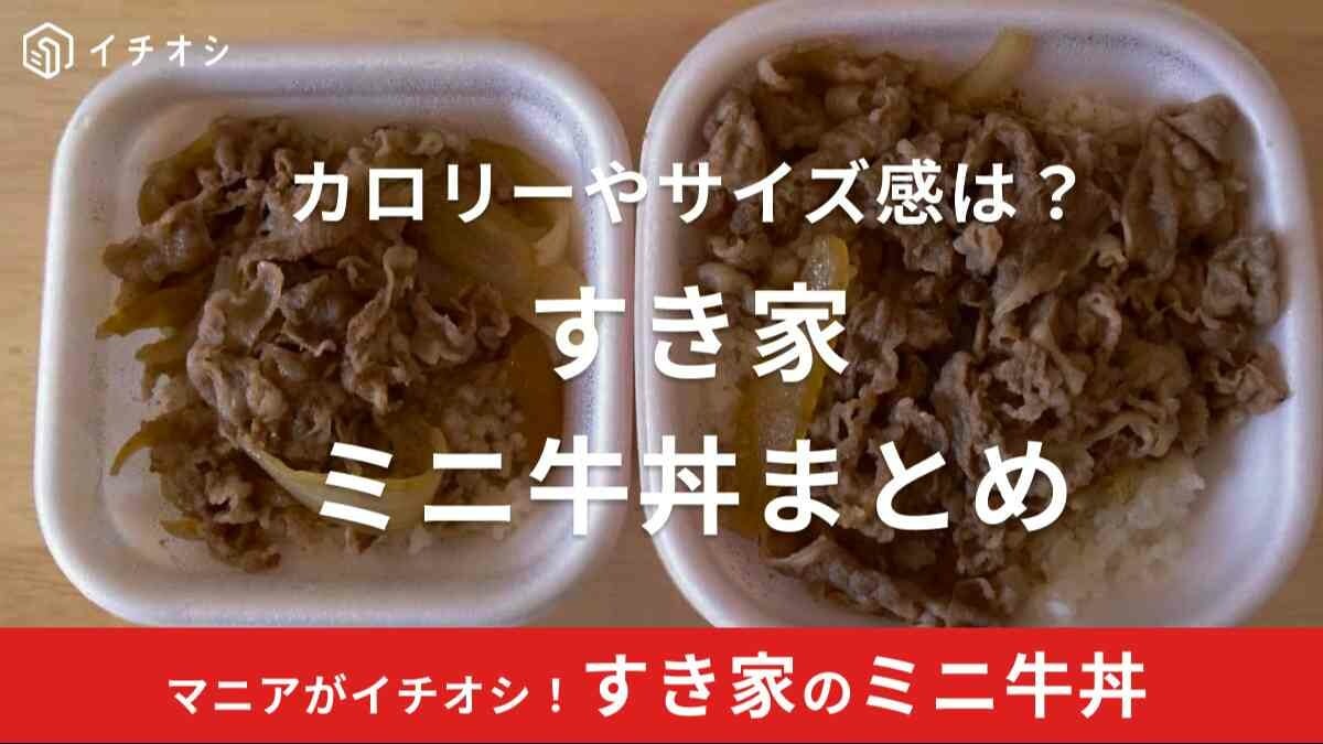 すき家のミニ牛丼のサイズはどれくらい？カロリーは？並盛との比較も