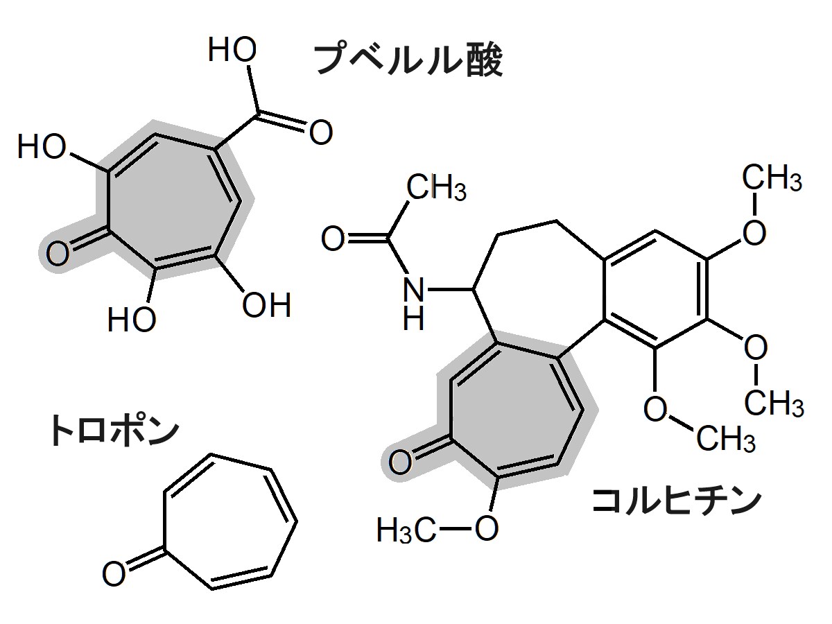 プベルル酸,トロポン,コルヒチン