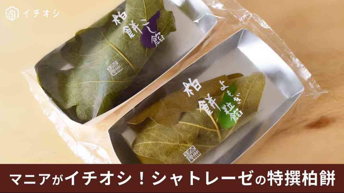 シャトレーゼの柏餅は期間限定品！2024年も登場