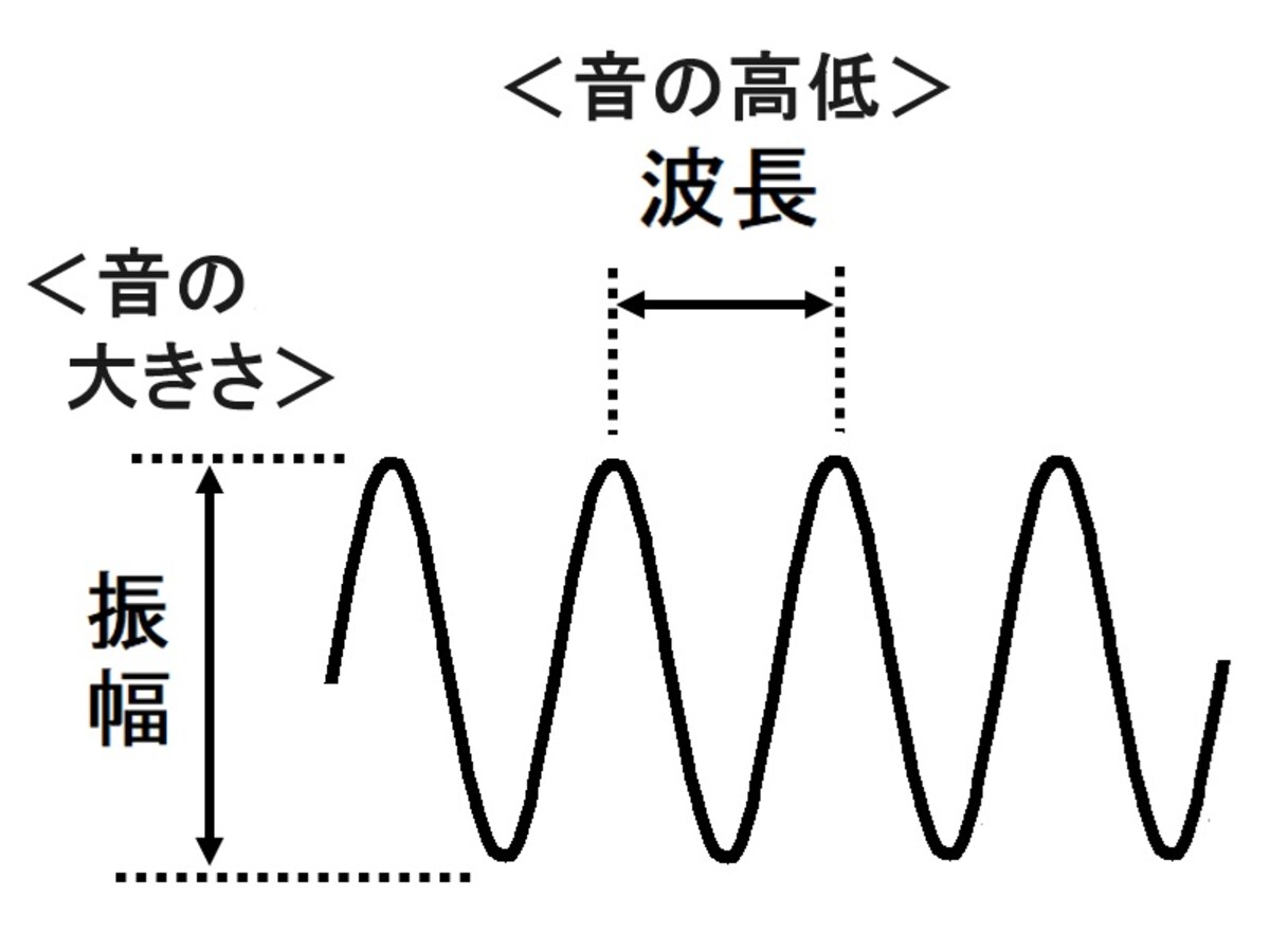 音波,振幅,波長
