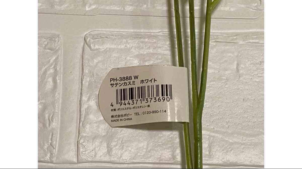 「サテンカスミ ホワイト」は上品な小ぶりの花が魅力