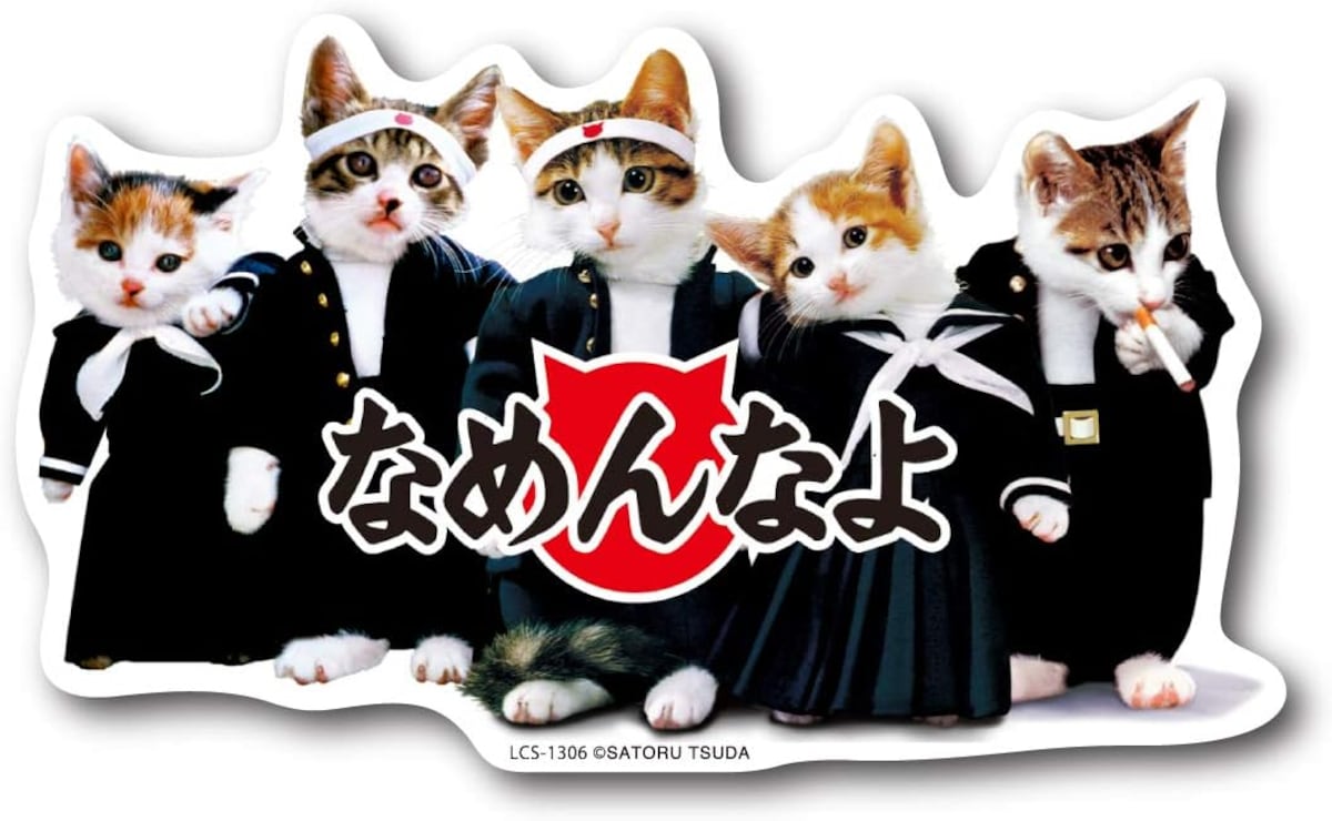 なめ猫