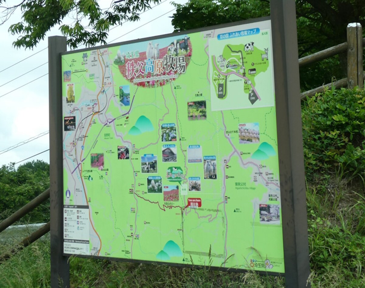 秩父高原牧場の案内図