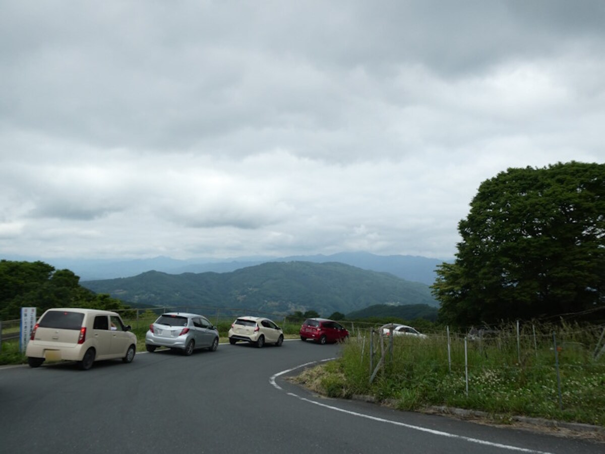 天空のポピー会場へ向かう車の渋滞