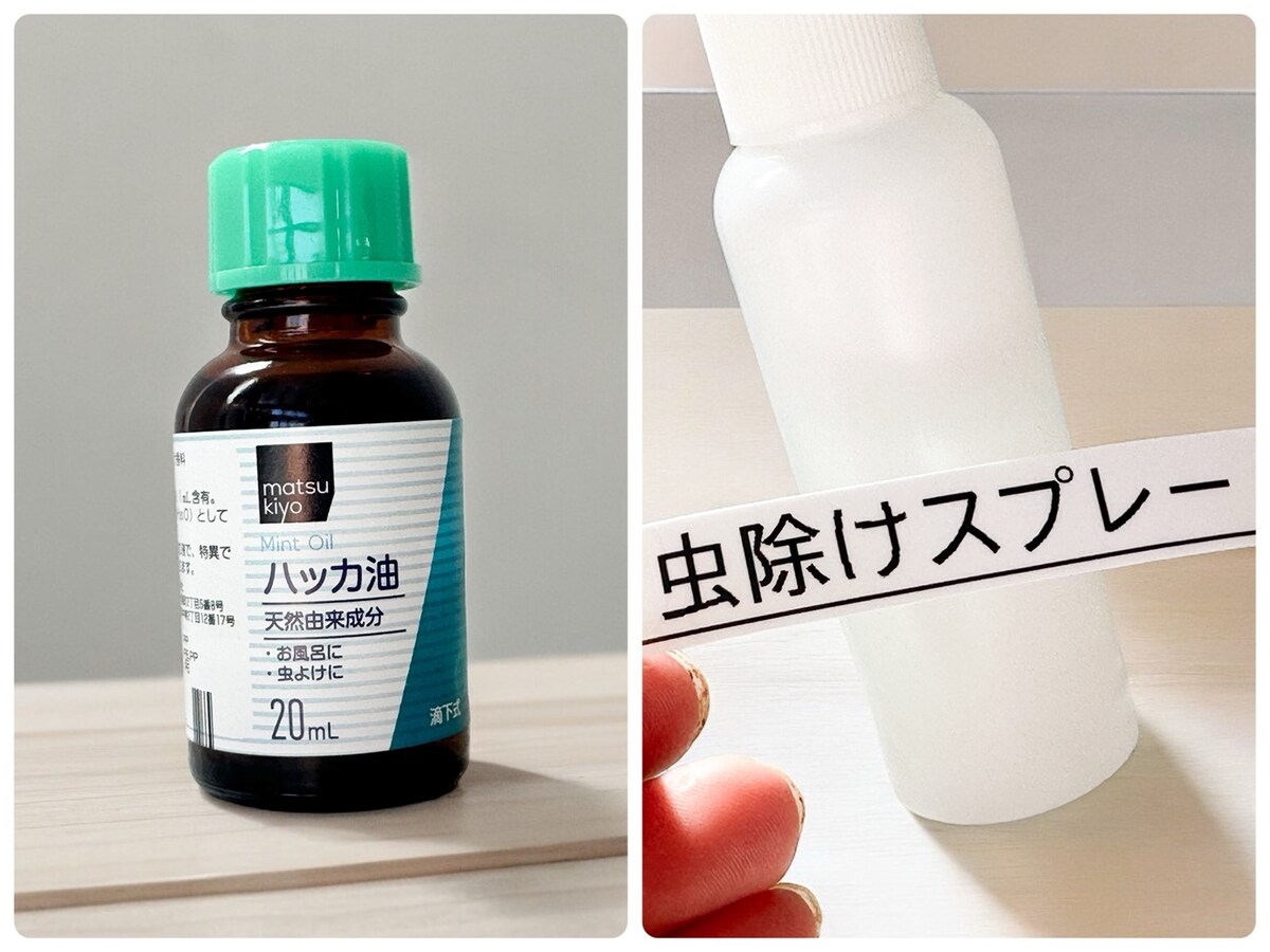 カメムシ対策
