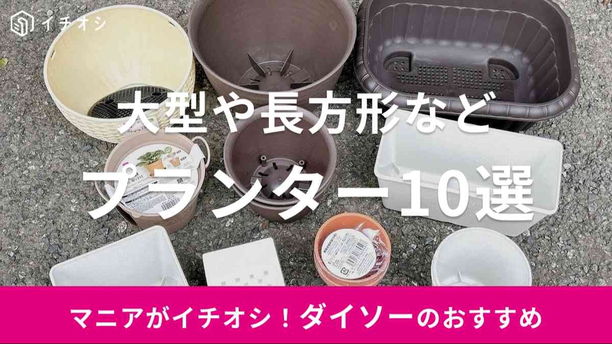 ダイソー　プランター