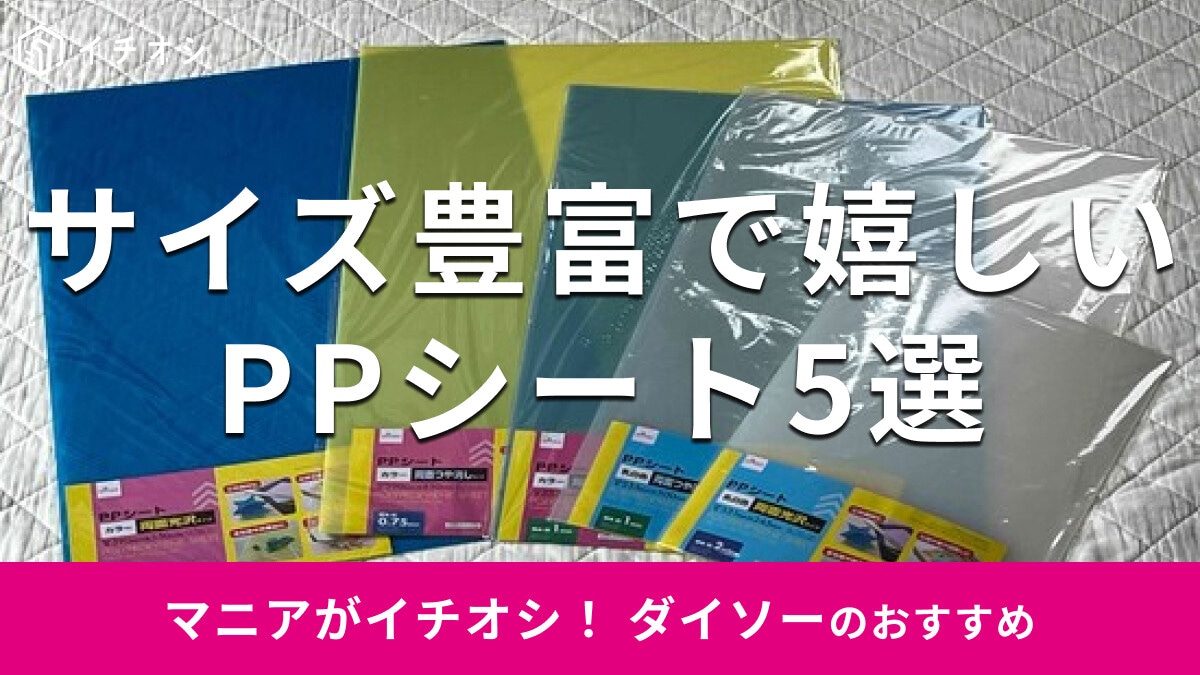 100均ダイソー「PPシート」サイズ＆厚さ別便利な5選！切り方は？売り場はどこ？