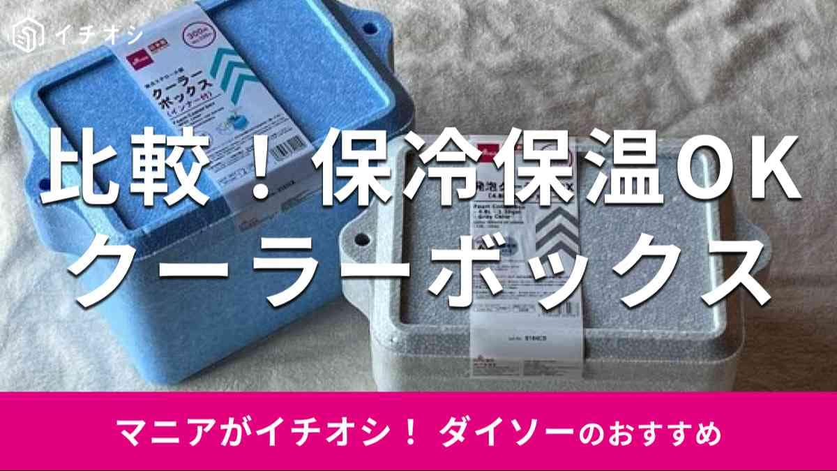 ダイソーの「日本製発泡クーラーBOXインナー付」（左）、「発泡クーラーBOX（4.8L、グレーカラー）」（右）