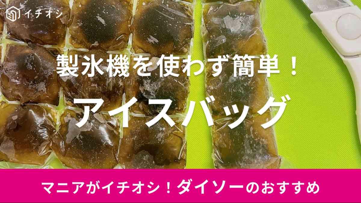 ダイソー　アイスバッグ