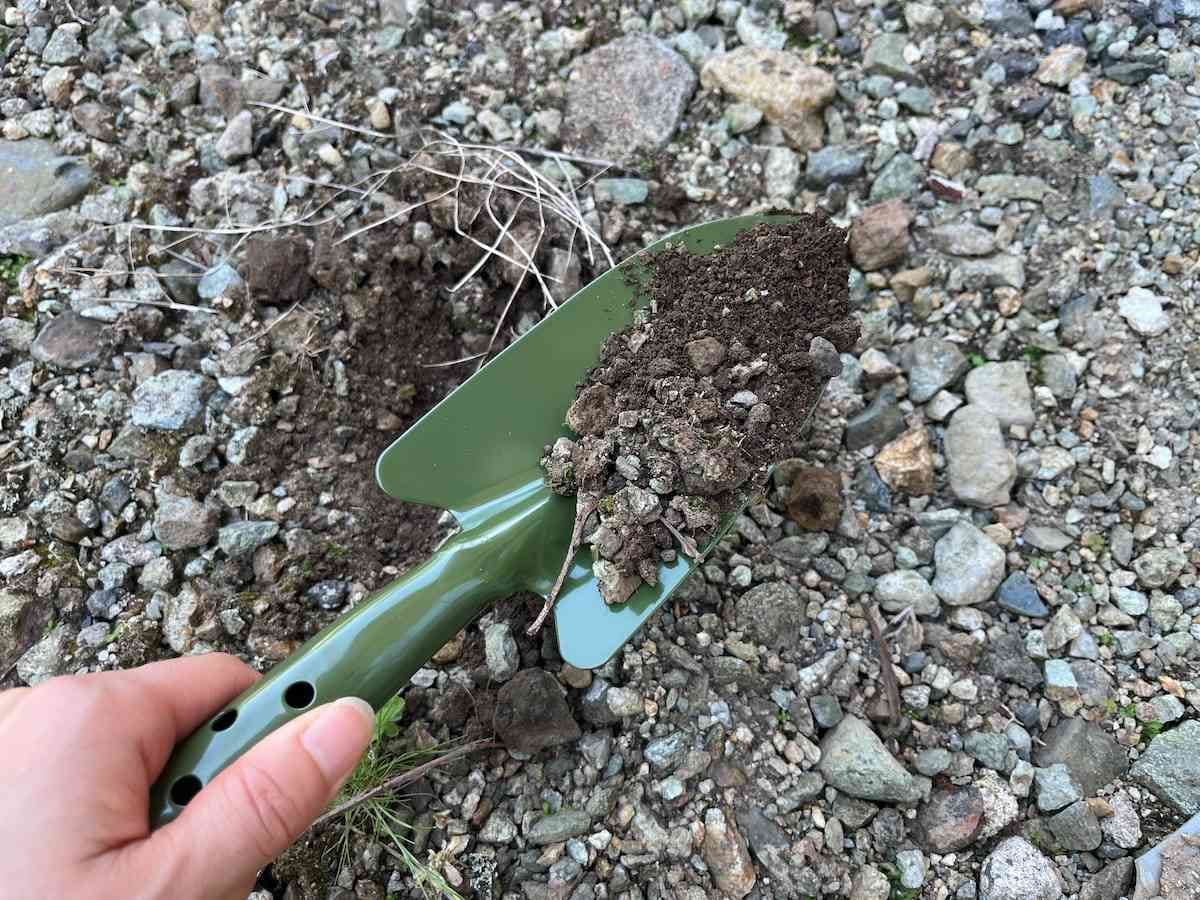ダイソーの「共柄移植ごて（グリーン）」は本体と柄が切れ目なくつながっていて作業しやすい