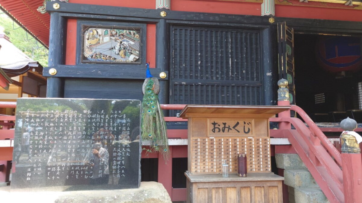 雨引観音(21)/本堂と孔雀