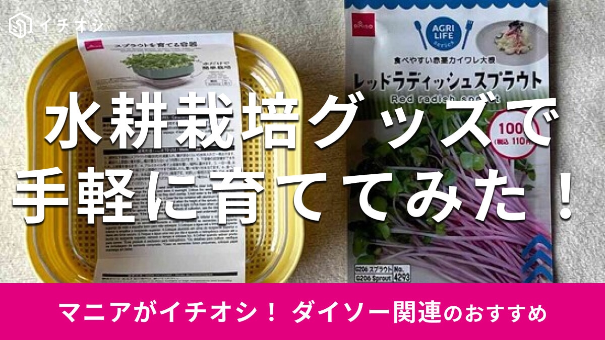 100均ダイソーの水耕栽培「スプラウトを育てる容器」で育ててみた！売り場はどこ？