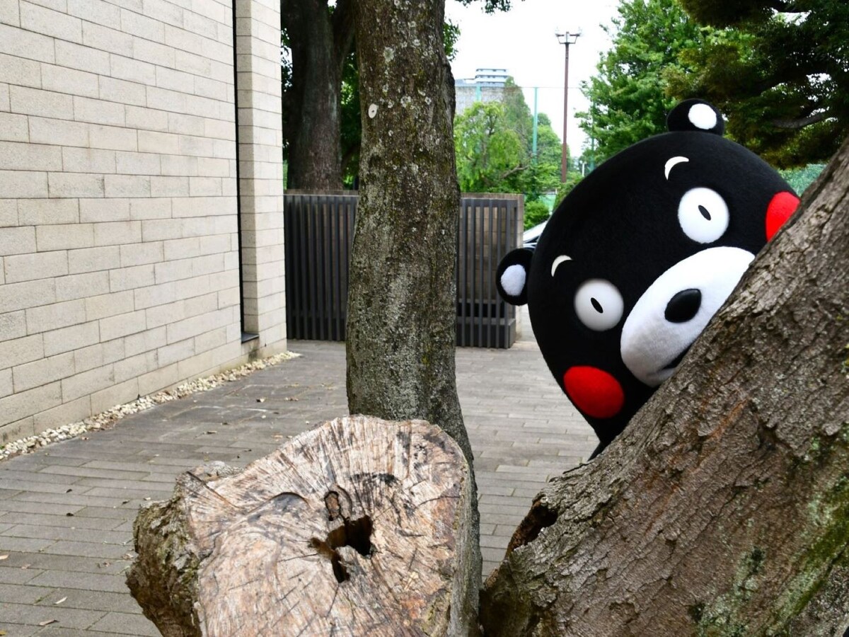 ＝6月15日、東京都港区