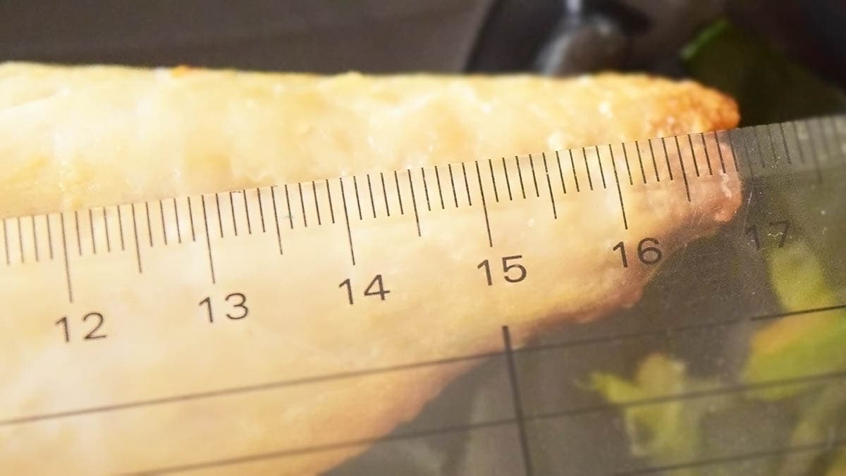 さばの横の長さをはかってみたところ、約17cm。